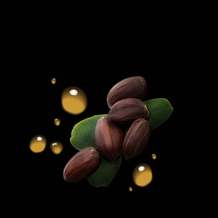 Sebastian Professionals Dark Oil Mascarilla Ligera y Nutritiva 150 ml