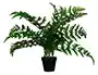 Paperflow Planta Artificial Helecho 55 cm