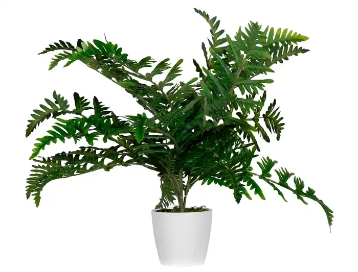 Paperflow Planta Artificial Helecho 55 cm