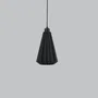 Lindor Lámpara Colgante Negro/Florón Negro/Cable Negro Casquillo E27 Ajustable Diseño Moderno Ecológico