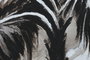 DKD Home Decor Cuadro de Palmera en Lienzo y PS (Pack de 2)