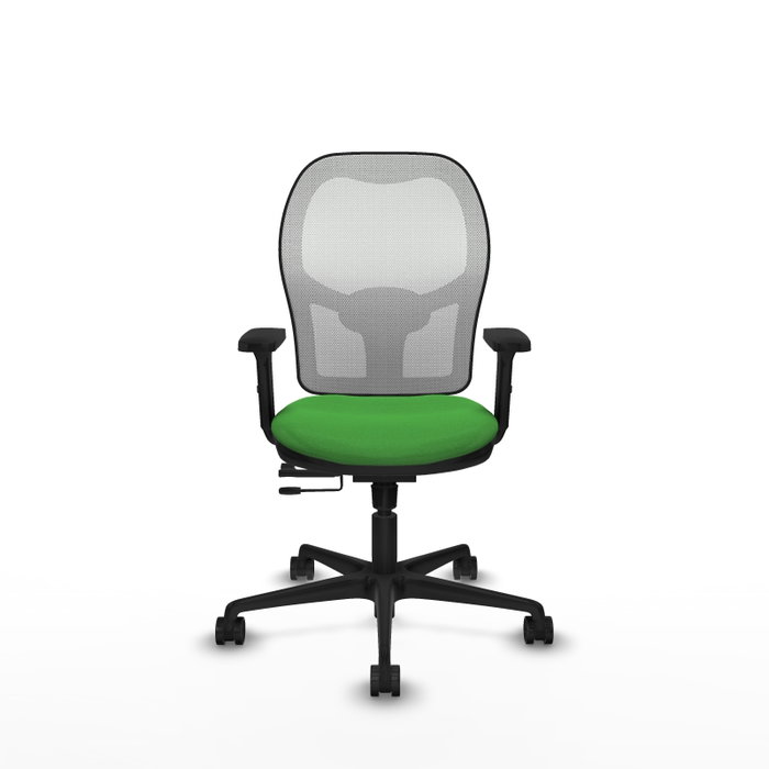 PIQUERAS Y CRESPO Silla de oficina Jorquera con mecanismo Sincro/Traslack, Tela Verde y Malla Blanca PIQUERAS Y CRESPO Silla de oficina Jorquera con mecanismo Sincro/Traslack, Tela Verde y Malla Blanca