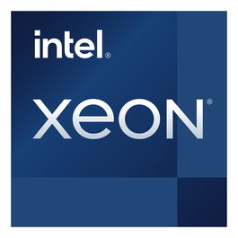 Intel Xeon E-2378G S1200 TRAY Procesador 8 Nucleos 2.8 GHz 80W