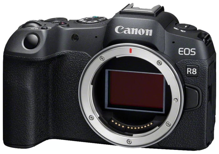 Canon EOS R8 Digital Camera Black