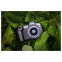 Canon EOS R8 Digital Camera Black