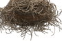 DKD Home Decor Pantalla Seagrass Natural 56x56x52 cm