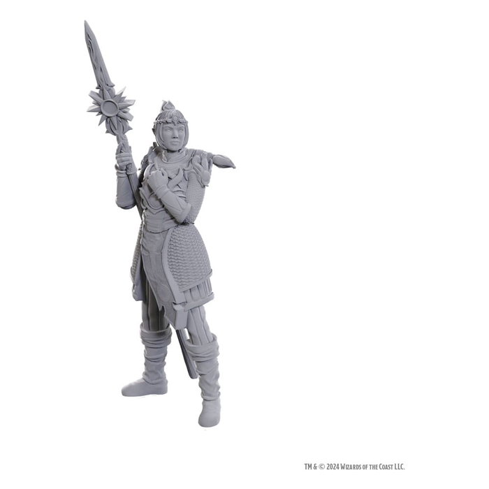 D&D Nolzur's Marvelous Miniatures Miniatura sin pintar Lae'zel & Shadowheart D&D Nolzur's Marvelous Miniatures Miniatura sin pintar Lae'zel & Shadowheart
