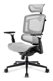 Sharkoon C50M Silla de Oficina Ergonómica, Asiento Acolchado, Respaldo de Rejilla, Reposabrazos 5D, Soporte Lumbar, Reposacabezas Ajustable