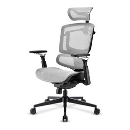 SHARKOON OfficePal C50M Gris