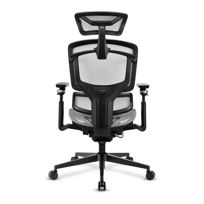 Sharkoon C50M OfficePal - Silla de Oficina con Respaldo de Malla, Ajustable, Reposabrazos, Gris, Hasta 120 kg