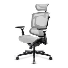 Sharkoon C50M OfficePal - Silla de Oficina con Respaldo de Malla, Ajustable, Reposabrazos, Gris, Hasta 120 kg