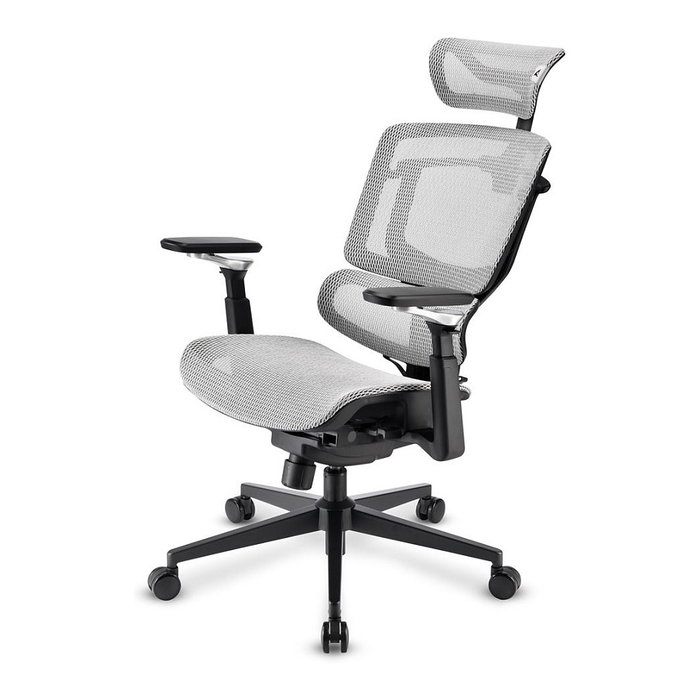 Sharkoon C50M OfficePal - Silla de Oficina con Respaldo de Malla, Ajustable, Reposabrazos, Gris, Hasta 120 kg