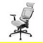 Sharkoon C50M OfficePal - Silla de Oficina con Respaldo de Malla, Ajustable, Reposabrazos, Gris, Hasta 120 kg