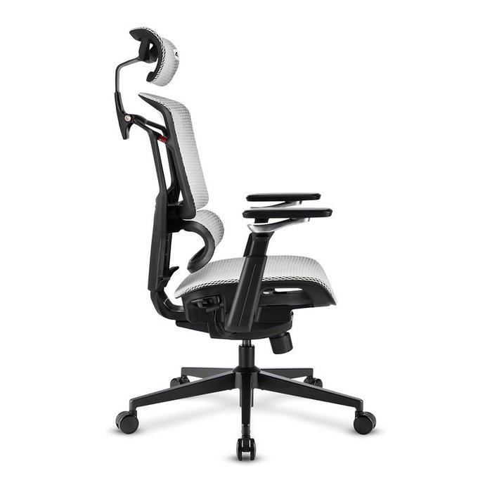 Sharkoon C50M OfficePal - Silla de Oficina con Respaldo de Malla, Ajustable, Reposabrazos, Gris, Hasta 120 kg