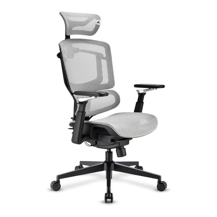 Sharkoon C50M OfficePal - Silla de Oficina con Respaldo de Malla, Ajustable, Reposabrazos, Gris, Hasta 120 kg