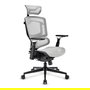 Sharkoon C50M OfficePal - Silla de Oficina con Respaldo de Malla, Ajustable, Reposabrazos, Gris, Hasta 120 kg