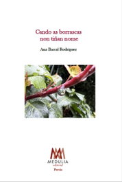 CANDO AS BORRASCAS NON TIÑAN NOME, Ana Barral - MEDULIA