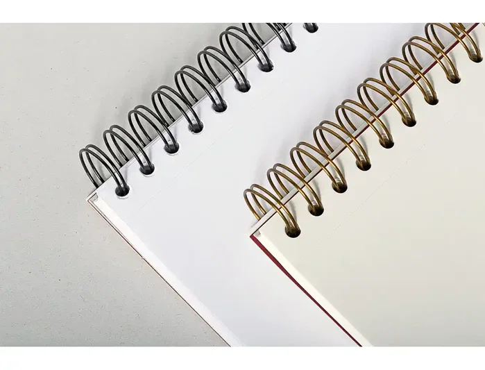 Clairefontaine Bloc de dibujo espiral croquis Din A5 microperforado 100 hojas blancas 90 g
