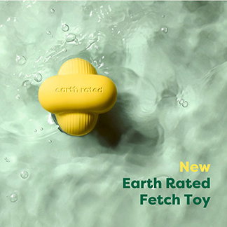 Earth Rated Fetch Toy M Juguete para Perros, Caucho Natural, Amarillo, Tamaño Mediano