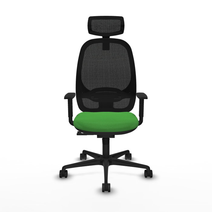 PIQUERAS Y CRESPO Silla de oficina Cilanco con mecanismo Sincro, Verde y Negro PIQUERAS Y CRESPO Silla de oficina Cilanco con mecanismo Sincro, Verde y Negro