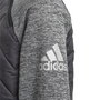 Sudadera sin Capucha Niño Adidas Nemeziz Gris