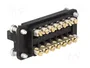 HARTING Staf® Plantilla de contacto HDC macho 14 pines
