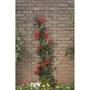 Nature Malla de alambre galvanizado rectangular 42.5xH145cm Verde
