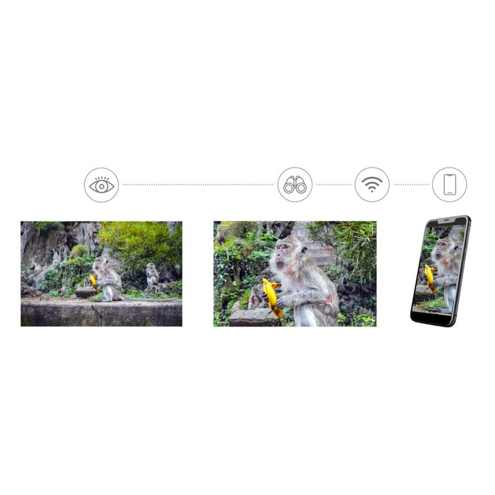 Levenhuk Kelvin Snap ED 8x42 Digital Photobinoculars