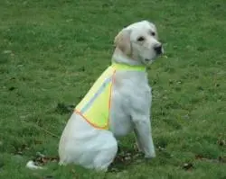 Kruuse Chaleco Reflectante Small Buster