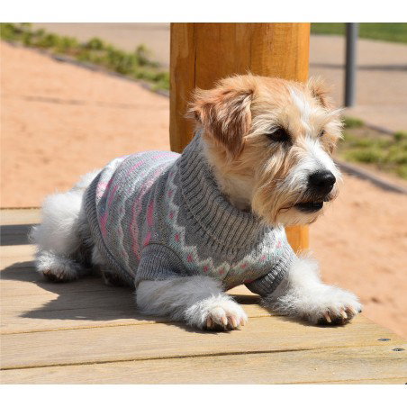 Nayeco Jersey Betty 20 cm para Perro, Elegante Jersey de Punto con Detalles Dorados y Plateados, Totalmente Ajustable con Ojal para Correa