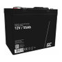 Green Cell AGM49 55Ah 12V