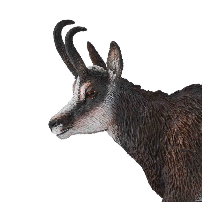 Collecta Rebeco L-80045 Mundo Natural Figura Coleccionable Educativa Pintada a Mano