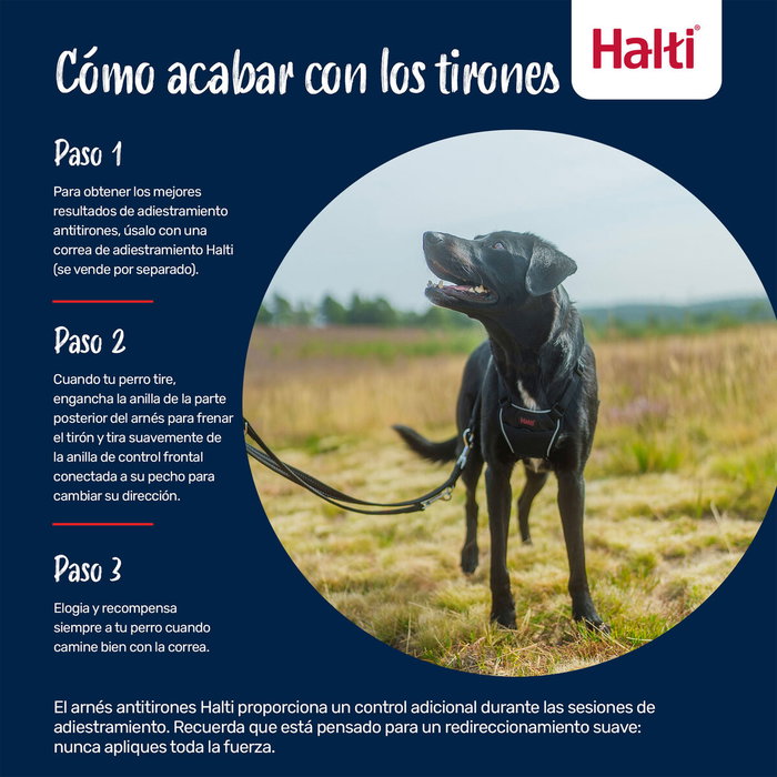 Company Of Animals Halti No Pull Harnéss Forest Verde S (Set de 48)