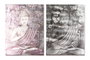 DKD Home Decor Cuadro Lienzo Pino Buda Gel Surtido de 2 Unidades