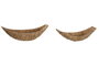 DKD Home Decor Set de 2 Centros de Mesa de Jacinto de Agua y Metal Natural