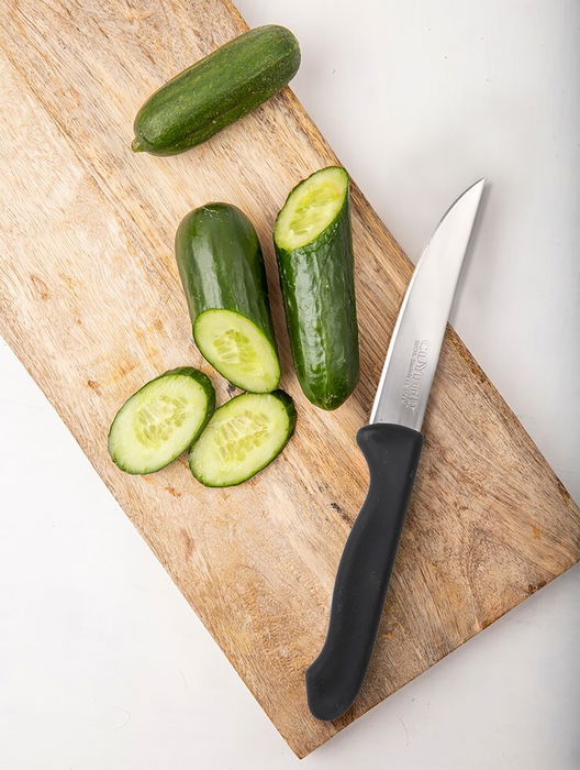 Cuyfor Set 6 Cuchillos Filo 10 cm Acero Inoxidable Mango Ergonómico Profesional (24 Unidades)