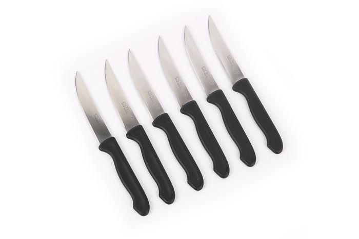 Cuyfor Set 6 Cuchillos Filo 10 cm Acero Inoxidable Mango Ergonómico Profesional (24 Unidades)