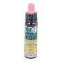 PLANTIS Wild Rose Plantis Flores de Bach Nº 37 10ml