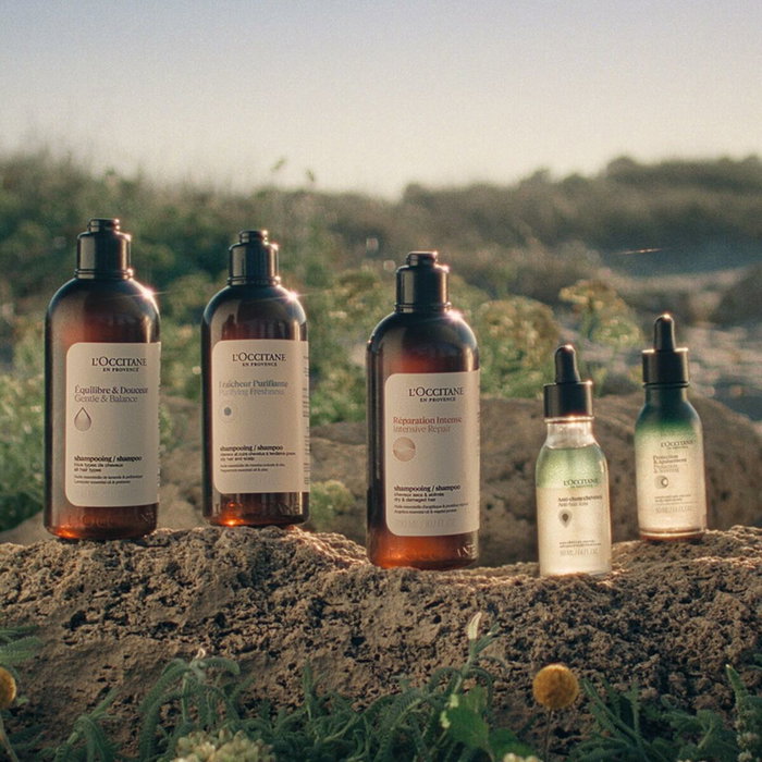 L'Occitane En Provence Champú Suave y Equilibrador AromaCOLOGÍA 75 ml