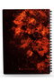 Cara Harry Potter Libreta Espiral Efecto 3D A5 Harry Potter