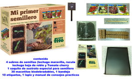 FINSTOCK Kit Mi Primer Semillero de Semillas Fito
