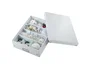 LEITZ Click&Store Caja Organizadora Mediana Blanca