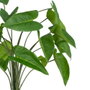 Ixia Rama Cala Verde de PVC, 43 x 45 x 44 cm