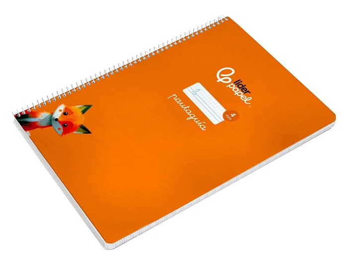 Liderpapel Cuaderno espiral A4 Pautaguía tapa dura 80 hojas 90gr cuadro pautado 4mm color naranja