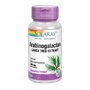 Solaray Arabinogalactano Extracto de Alerce 300 mg 60 Cápsulas