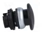 EATON ELECTRIC Interruptor de presión RMQ-Titan negro 22mm
