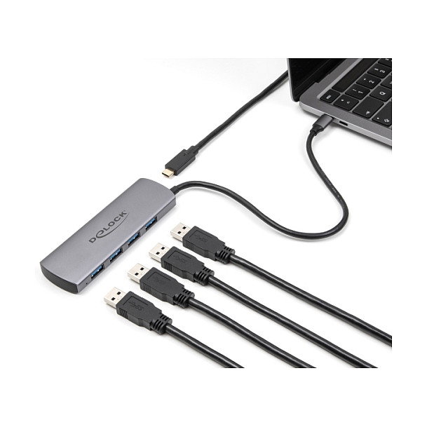 DeLOCK 64293 Hub USB con 4 puertos USB 3.2 Gen 2 Type-A y conexión USB Type-C Gris