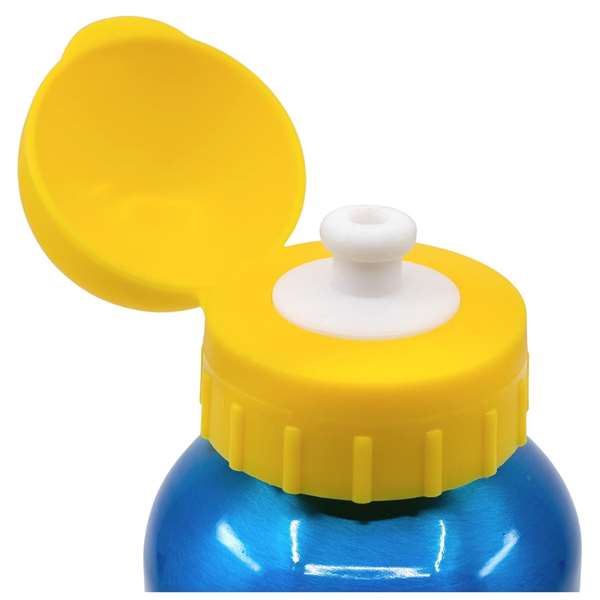 Paw Patrol Botella de Aluminio Reutilizable Infantil Pup Power para Agua, con Tapa PP y Junta de Silicona, Ideal Niños +3 Años