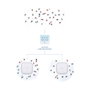 D-Link DAP-X3060 Nuclias Connect Punto de Acceso WiFi 6 AX3000, MU-MIMO, 4 Antenas Internas, PoE, 2.4/5 GHz, hasta 3000 Mbps, Blanco