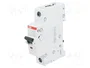 ABB SZ201-B10 Interruptor Magnetotérmico 10A 1 Polo Característica B